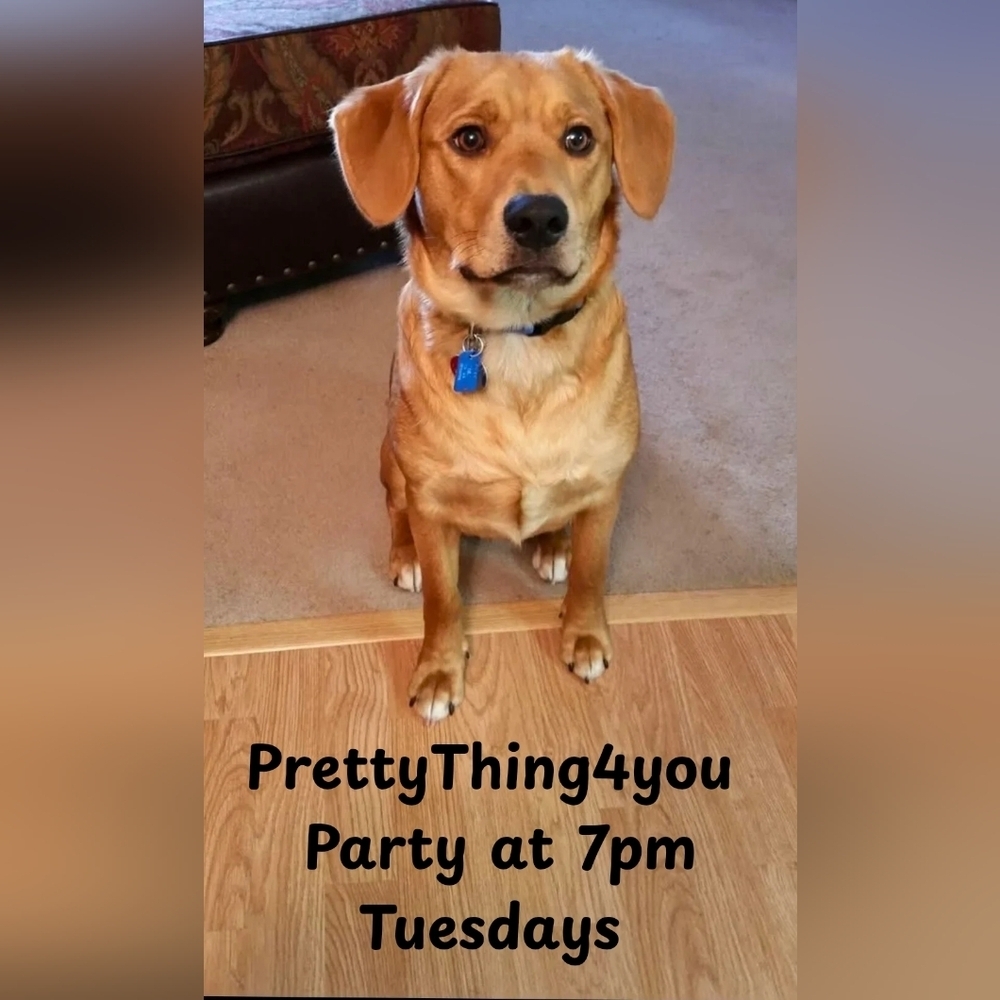 PrettyThingnpep Is Having A Live Jewelry Variety Show!! - Picture 5 of 5
